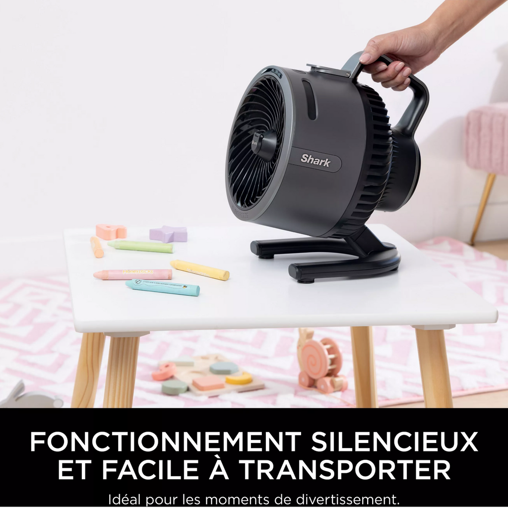 Rafraîchisseur d'air FlexBreeze HydroGo FA050EU